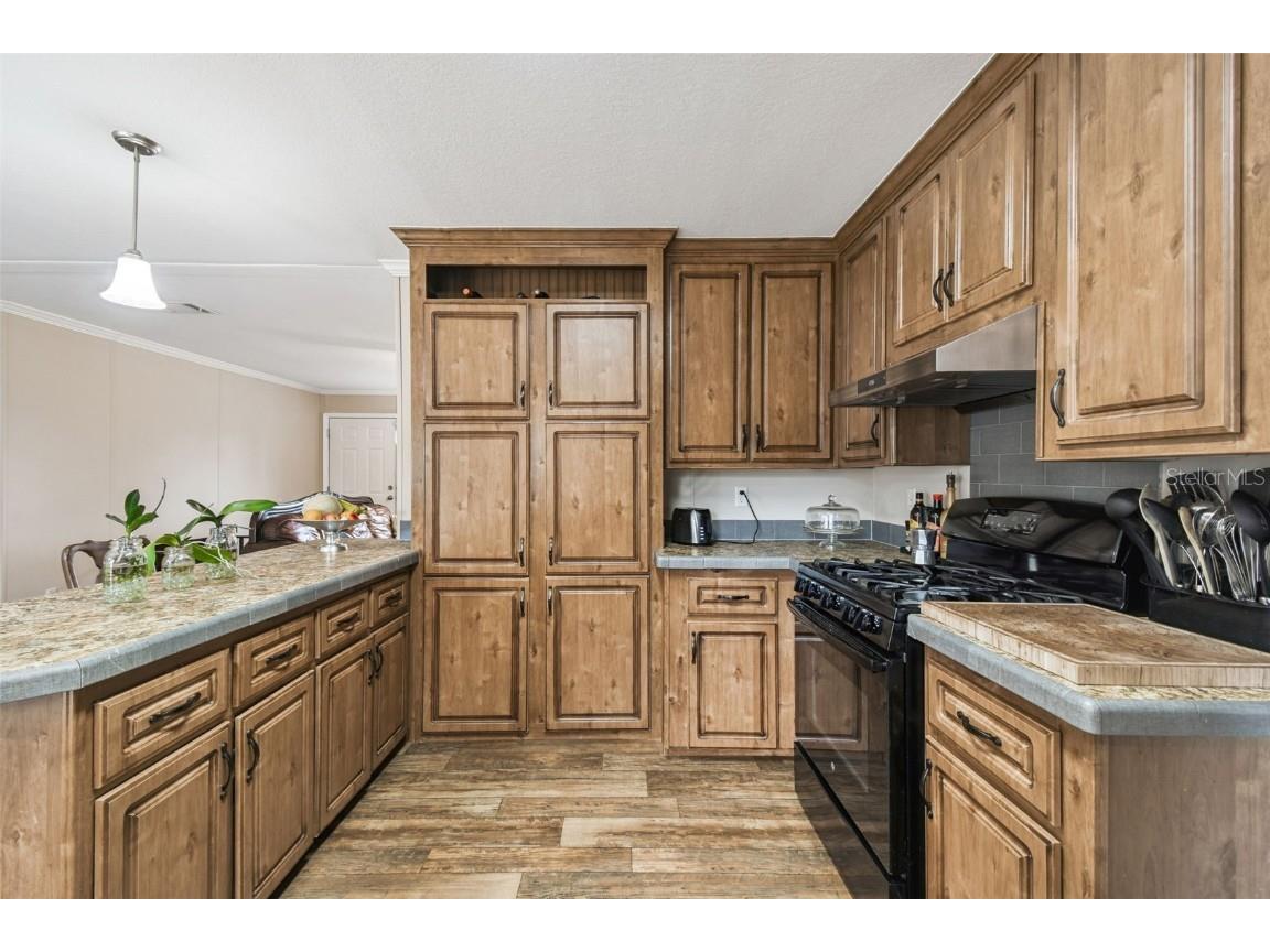 11473 Finch Road Brooksville FL 34614 TB8450887 image39