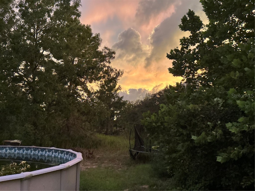 11473 Finch Road Brooksville FL 34614 TB8450887 image49