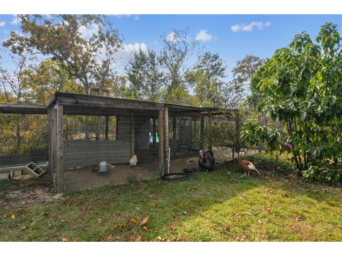 11473 Finch Road Brooksville FL 34614 TB8450887 image53