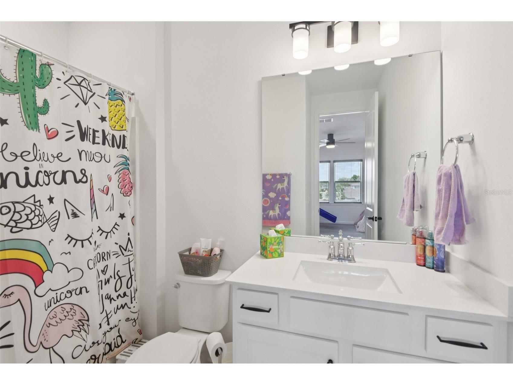 11473 Owasee Trails Place Riverview FL 33569 TB8490195 image29