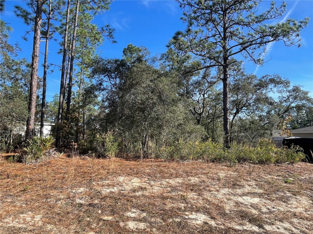 11475 N Kenney Loop Dunnellon FL 34433 OM714921 image2