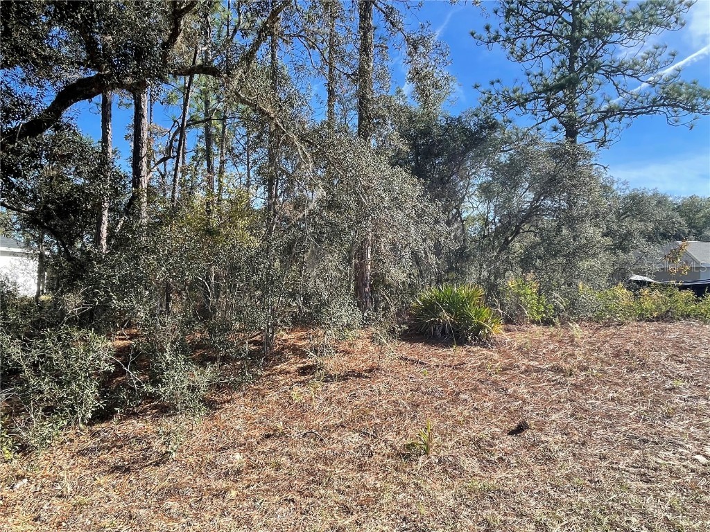 11475 N Kenney Loop Dunnellon FL 34433 OM714921 image3