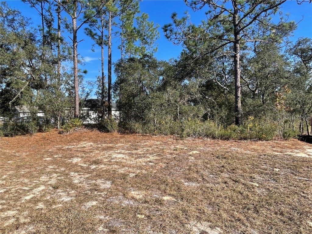 11475 N Kenney Loop Dunnellon FL 34433 OM714921 image4