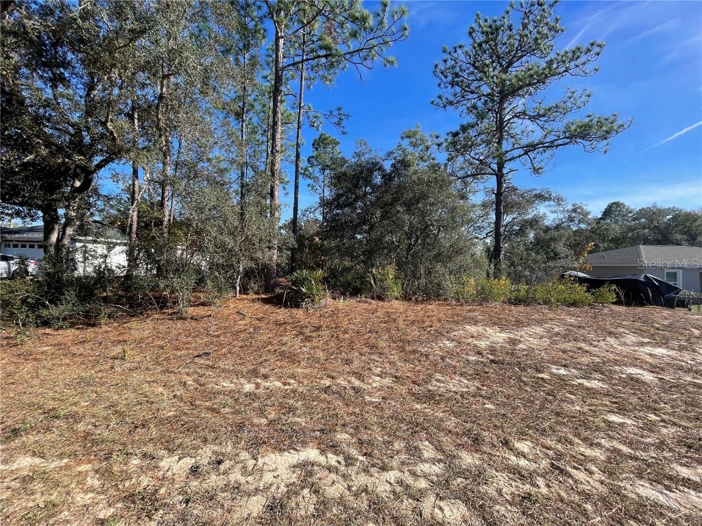11475 N Kenney Loop Dunnellon FL 34433 OM714921 image5