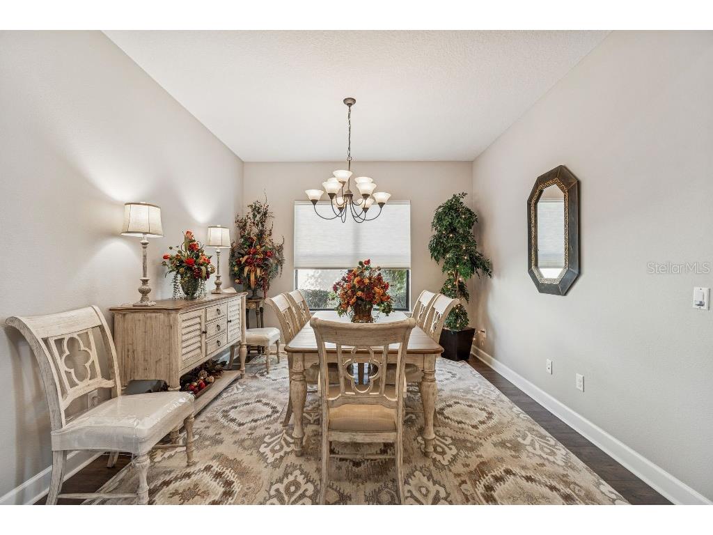 11477 Bitola Drive Odessa FL 33556 TB8465539 image21