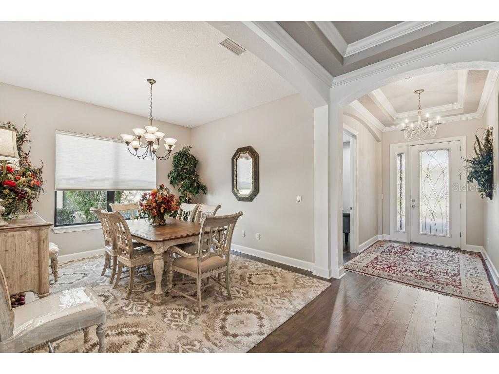 11477 Bitola Drive Odessa FL 33556 TB8465539 image22