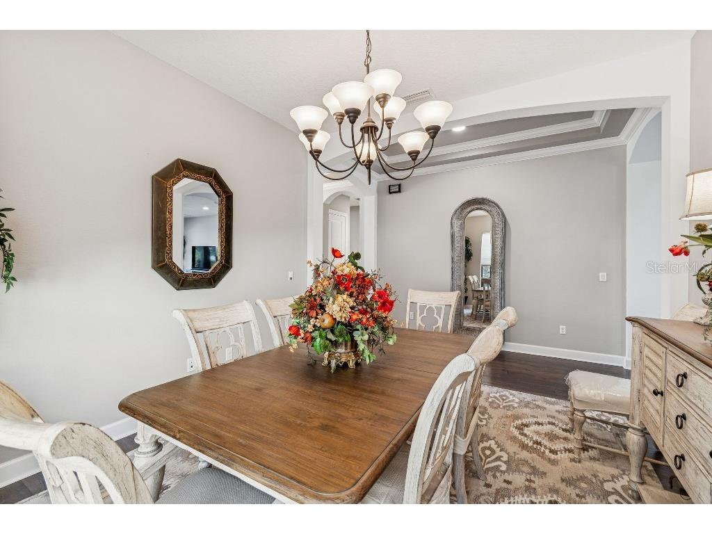 11477 Bitola Drive Odessa FL 33556 TB8465539 image23