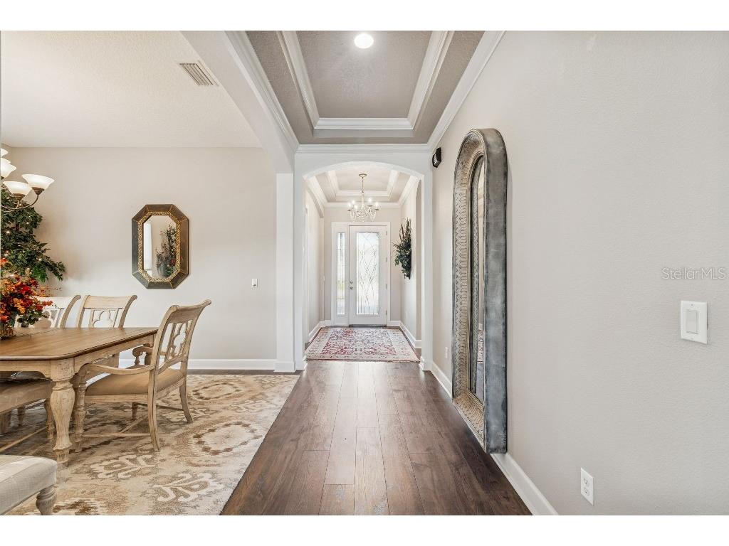 11477 Bitola Drive Odessa FL 33556 TB8465539 image24