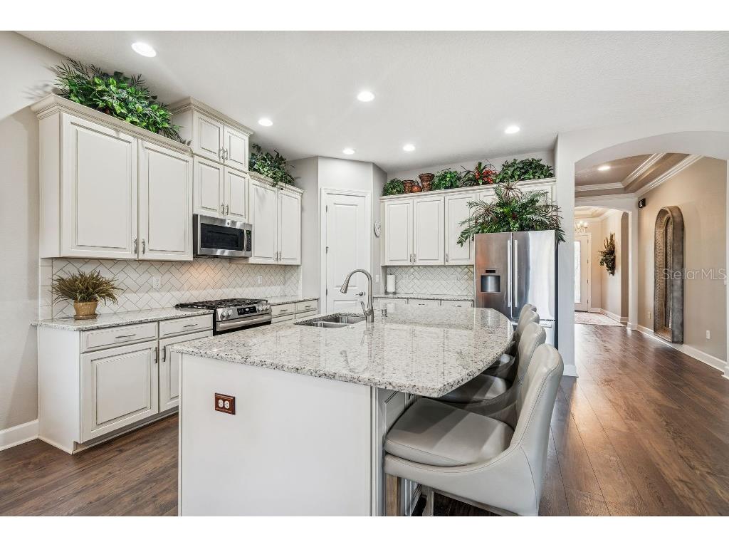 11477 Bitola Drive Odessa FL 33556 TB8465539 image32