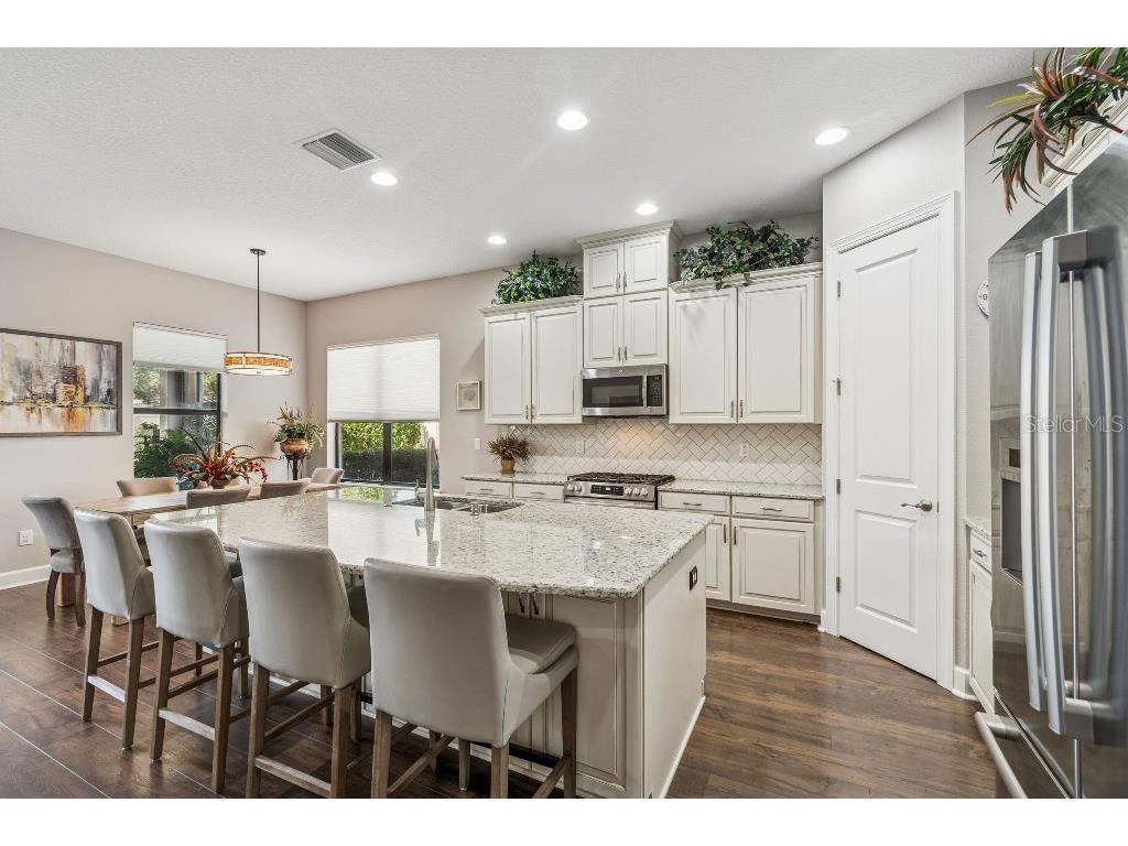 11477 Bitola Drive Odessa FL 33556 TB8465539 image35