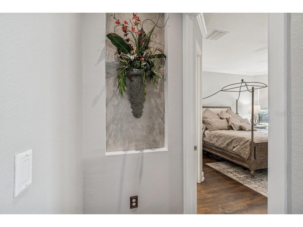 11477 Bitola Drive Odessa FL 33556 TB8465539 image37