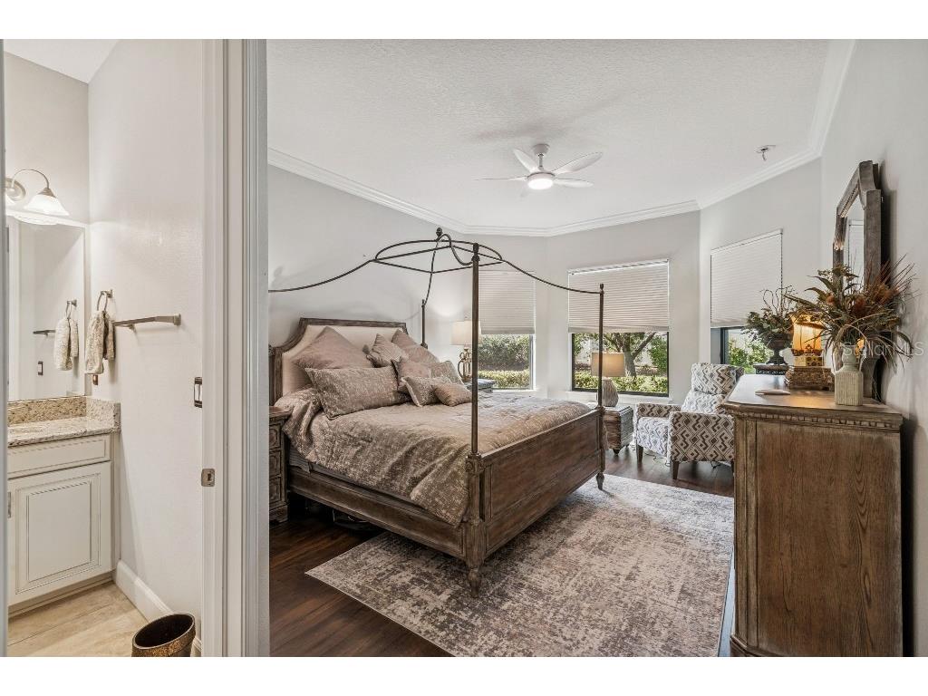 11477 Bitola Drive Odessa FL 33556 TB8465539 image38