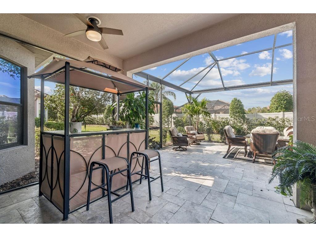 11477 Bitola Drive Odessa FL 33556 TB8465539 image47