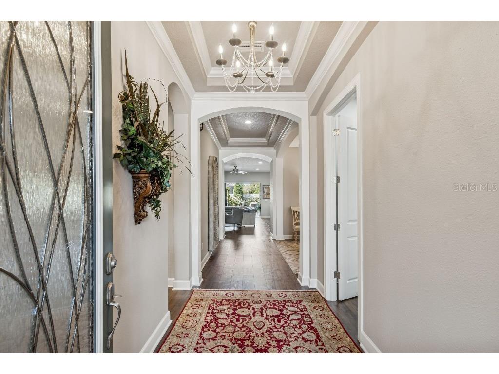 11477 Bitola Drive Odessa FL 33556 TB8465539 image8