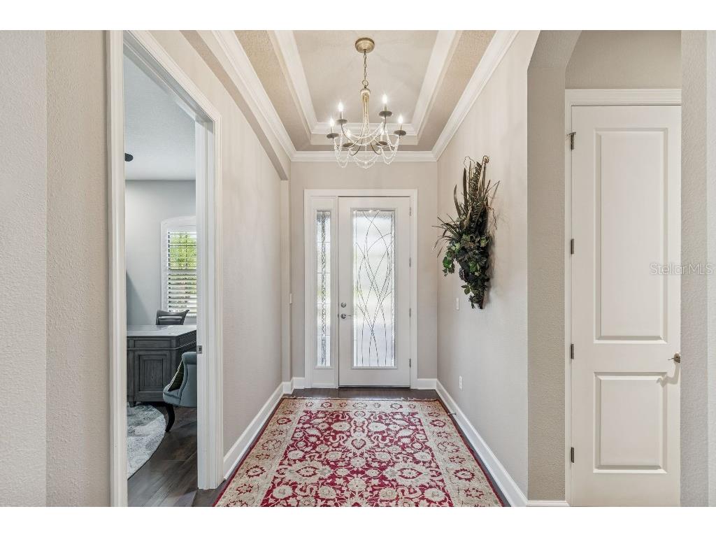 11477 Bitola Drive Odessa FL 33556 TB8465539 image9