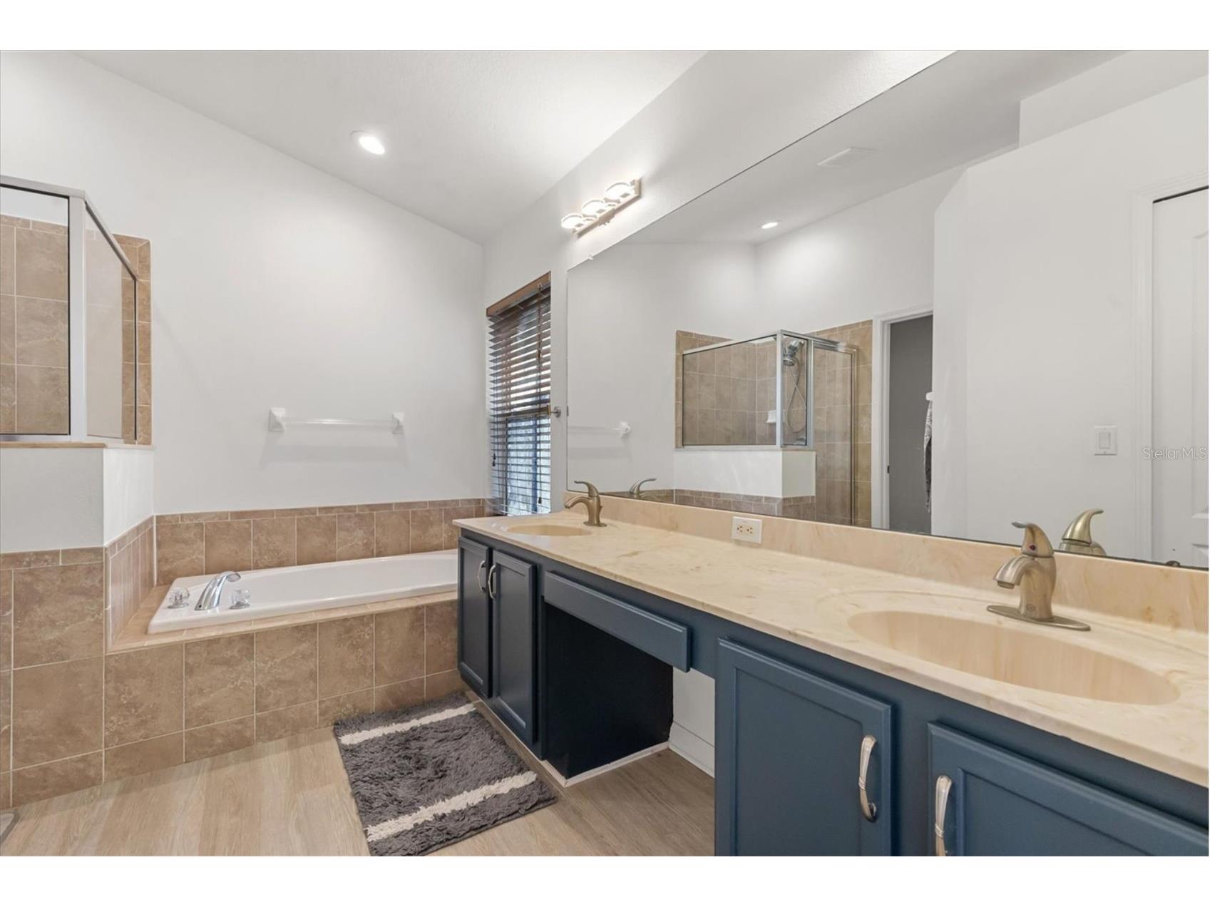 11478 Weston Course Loop Riverview FL 33579 O6392118 image8