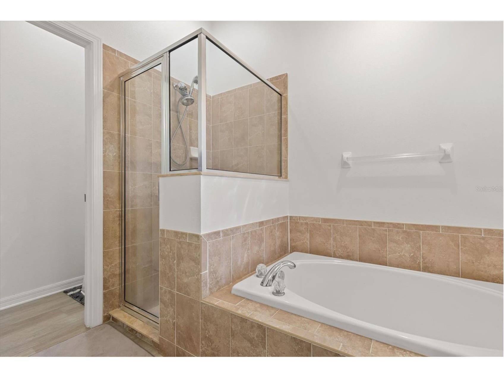 11478 Weston Course Loop Riverview FL 33579 O6392118 image9