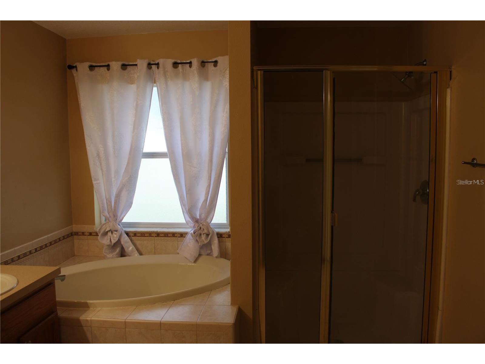 11479 Walden Loop Parrish FL 34219 A4689661 image15