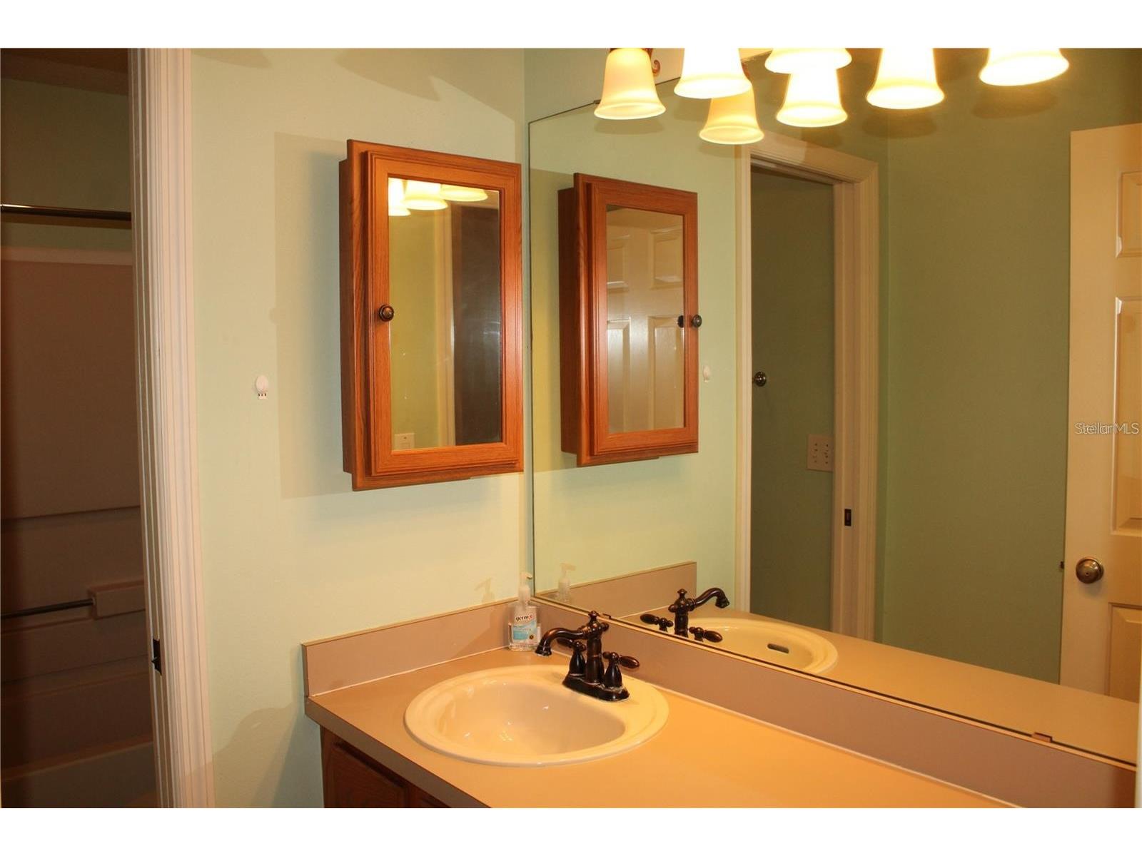 11479 Walden Loop Parrish FL 34219 A4689661 image22