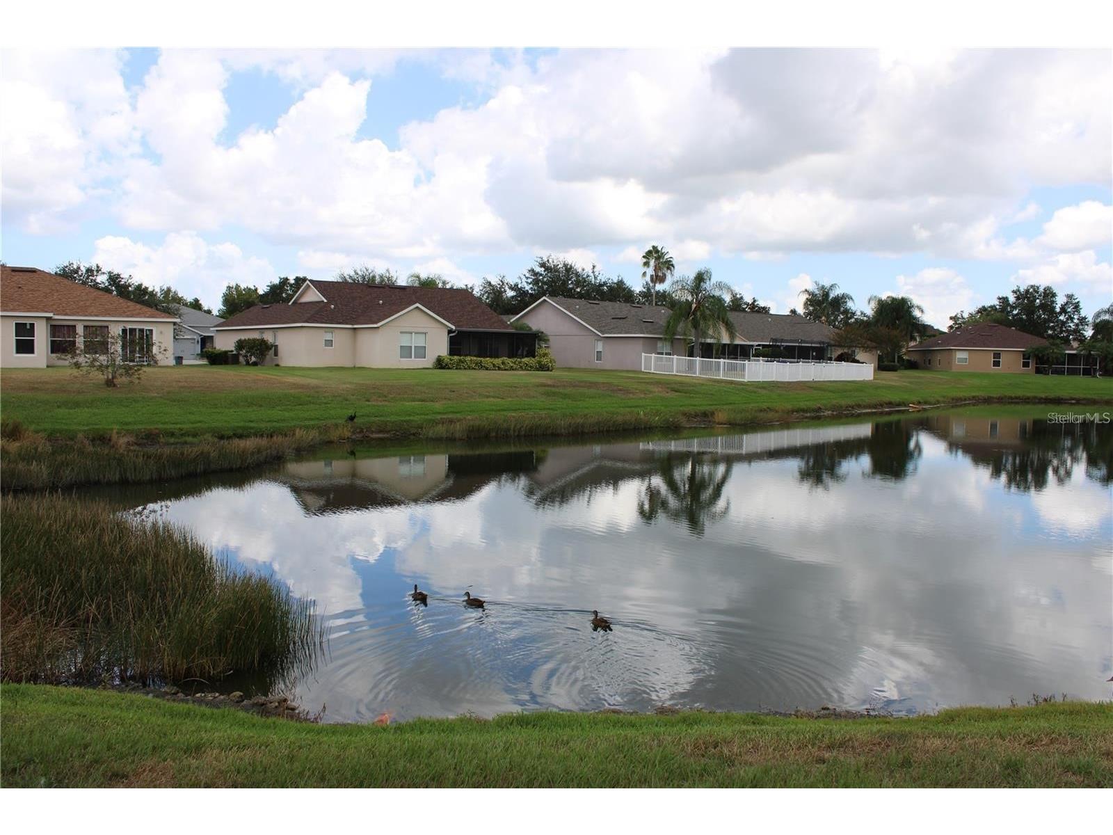 11479 Walden Loop Parrish FL 34219 A4689661 image38