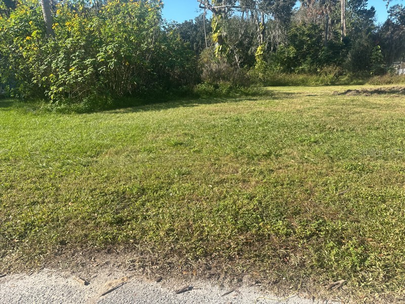 1148 Buena Vista Drive Daytona Beach FL 32117 O6397814 image13