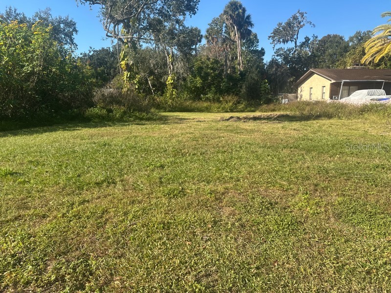 1148 Buena Vista Drive Daytona Beach FL 32117 O6397814 image2