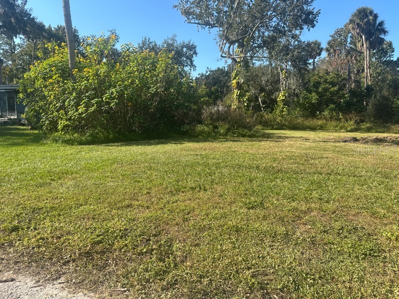 1148 Buena Vista Drive Daytona Beach FL 32117 O6397814 image6