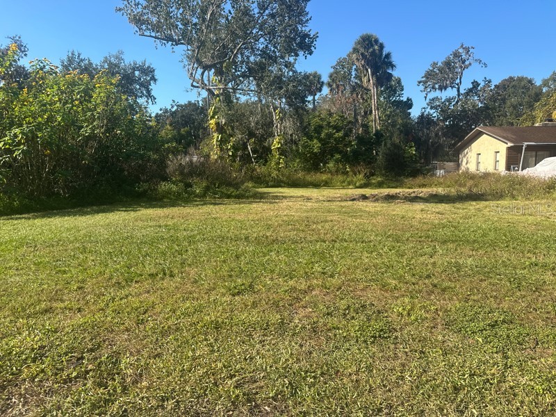1148 Buena Vista Drive Daytona Beach FL 32117 O6397814 image8