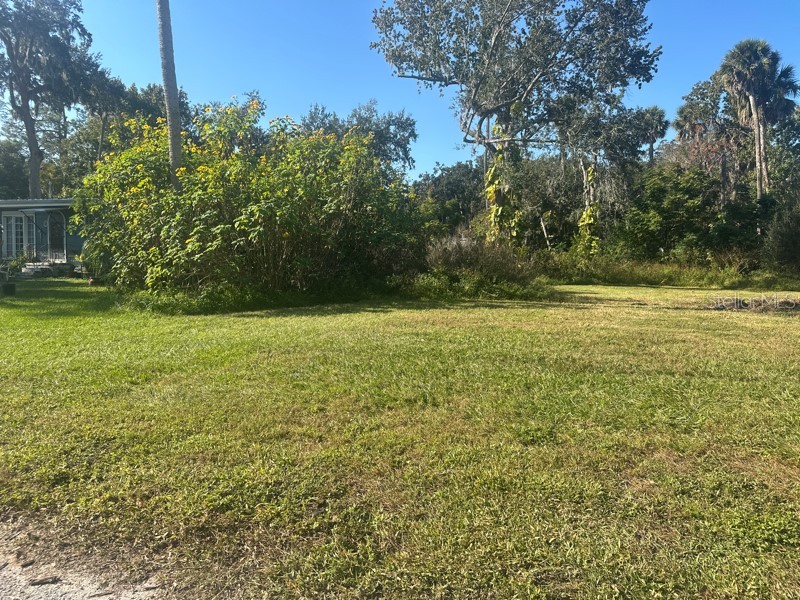 1148 Buena Vista Drive Daytona Beach FL 32117 O6397814 image9