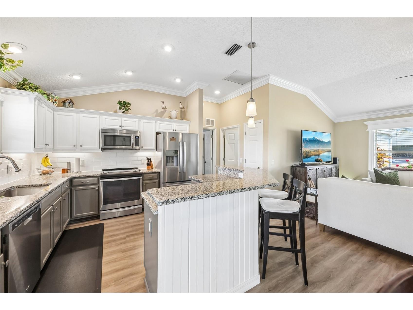 1148 Chaparral Drive The Villages FL 32159 G5112590 image14