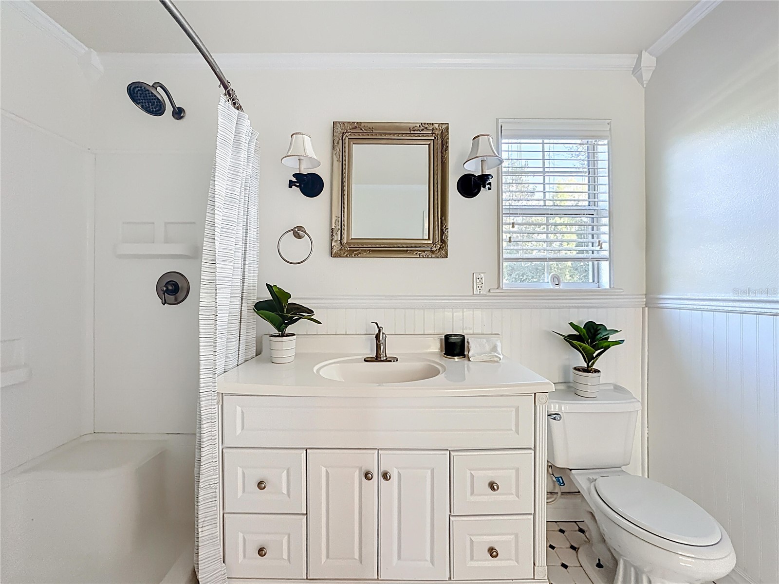 1148 N Grandview Street Mount Dora FL 32757 O6396579 image25