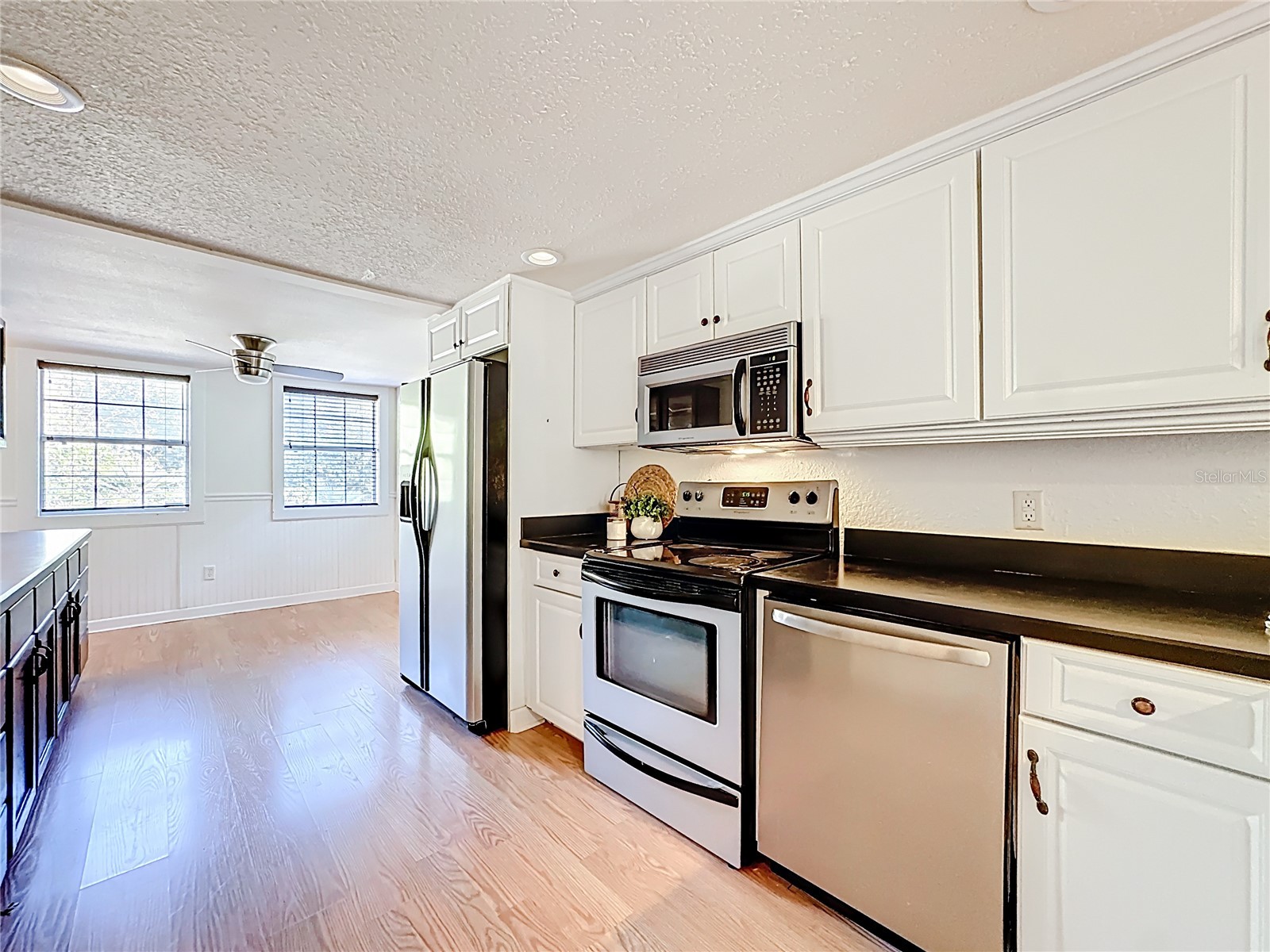 1148 N Grandview Street Mount Dora FL 32757 V4949076 image18