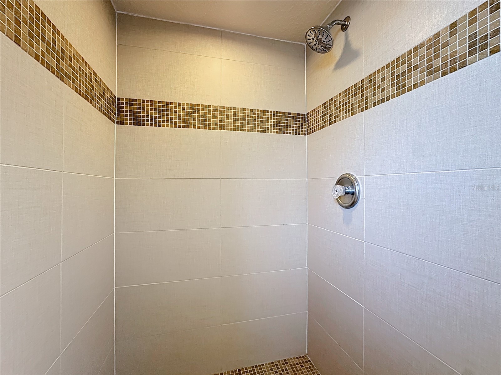 1148 N Grandview Street Mount Dora FL 32757 V4949076 image36