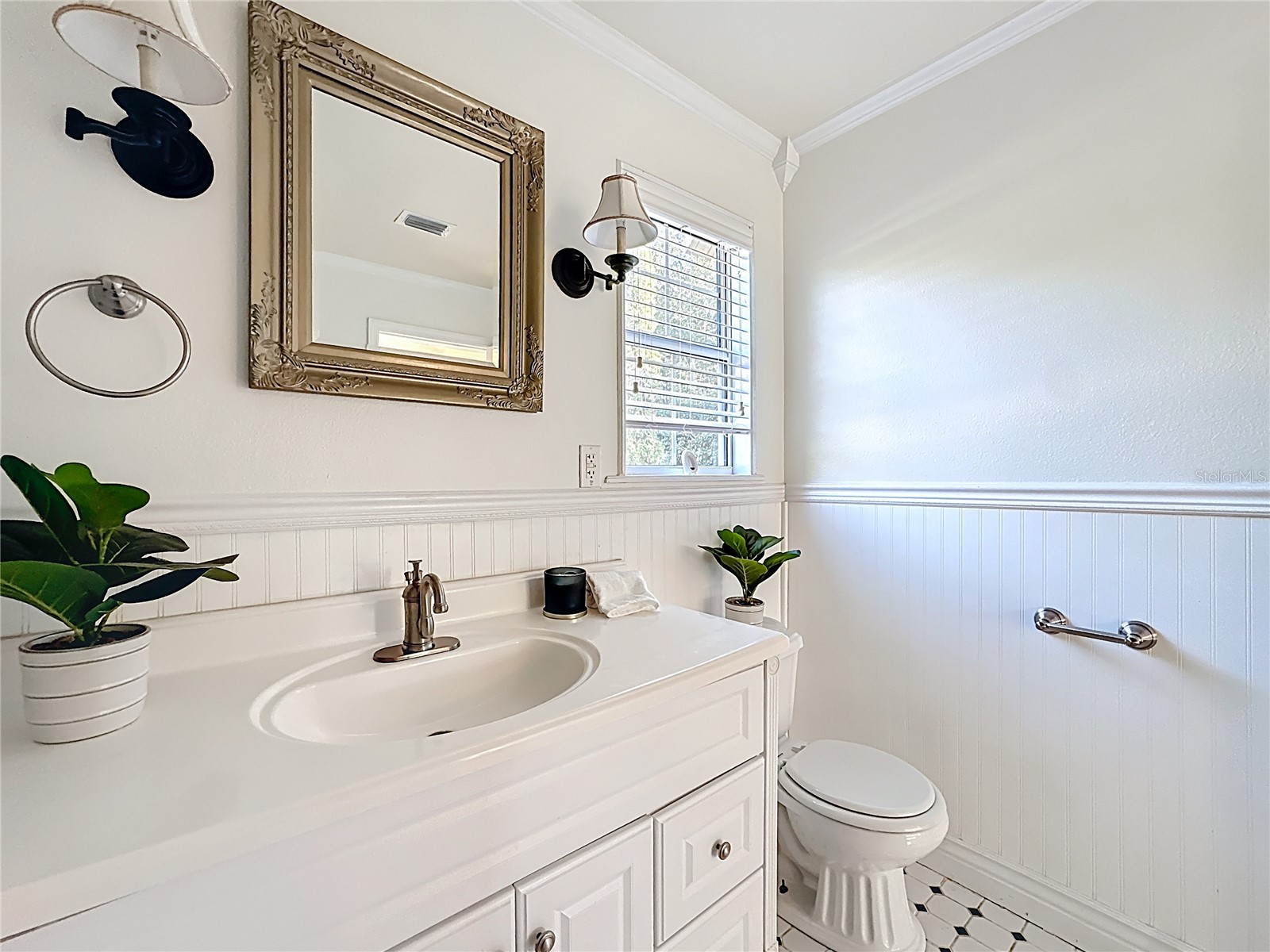 1148 N Grandview Street Mount Dora FL 32757 V4949076 image48