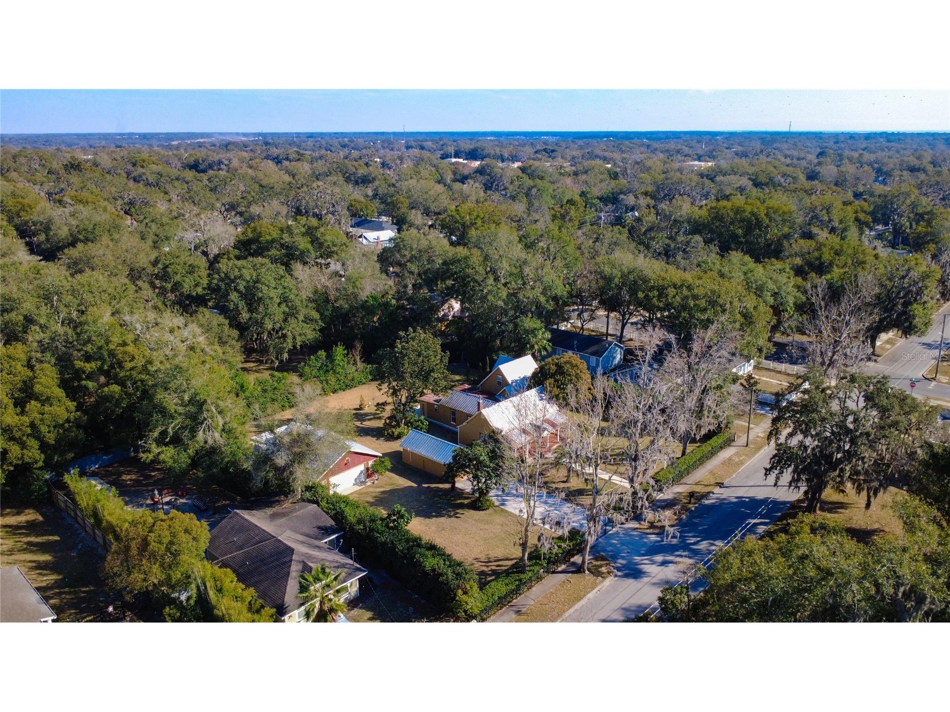 1148 N Grandview Street Mount Dora FL 32757 V4949076 image73