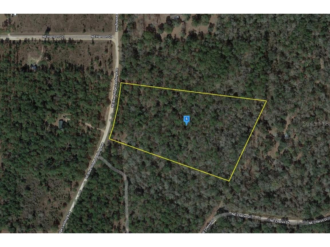 1148 NE Blue Ridge Landing Avenue Lee FL 32059 A4596204 image1