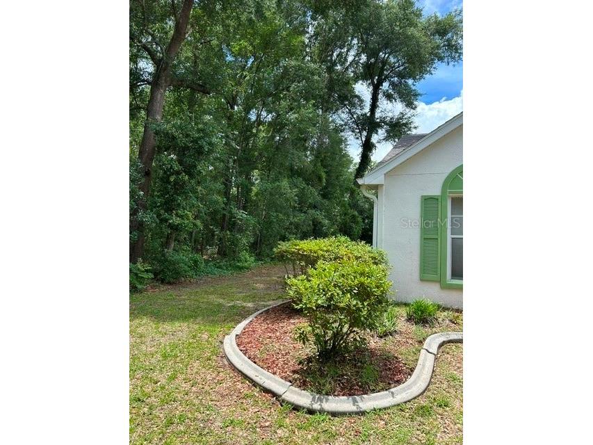 11480 SW 76th Avenue Ocala FL 34476 OM725589 image52