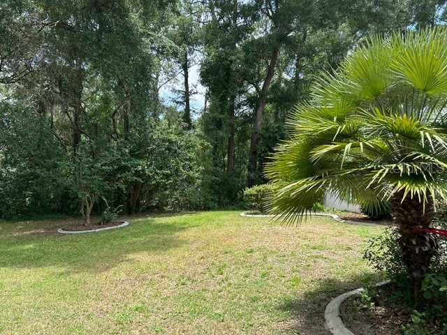11480 SW 76th Avenue Ocala FL 34476 OM725589 image53