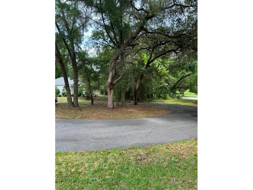 11480 SW 76th Avenue Ocala FL 34476 OM725589 image59