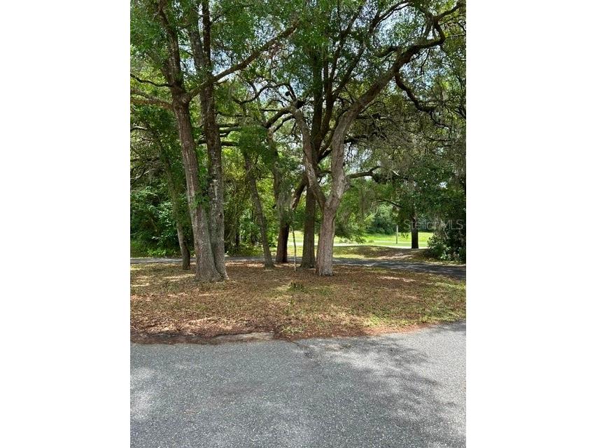 11480 SW 76th Avenue Ocala FL 34476 OM725589 image60