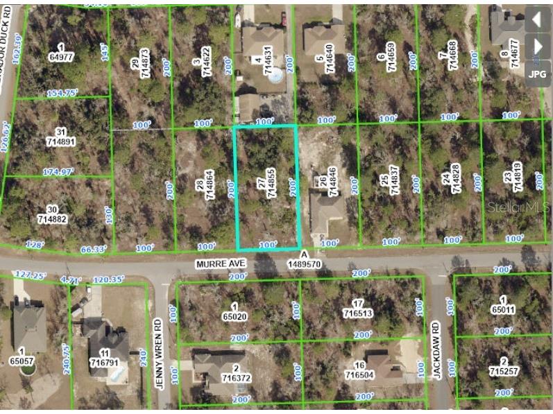 11481 Murre Avenue Weeki Wachee FL 34614 W7852916 image1