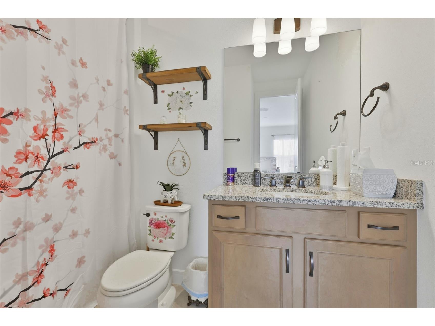 11481 Owasee Trails Place Riverview FL 33569 TB8528724 image35