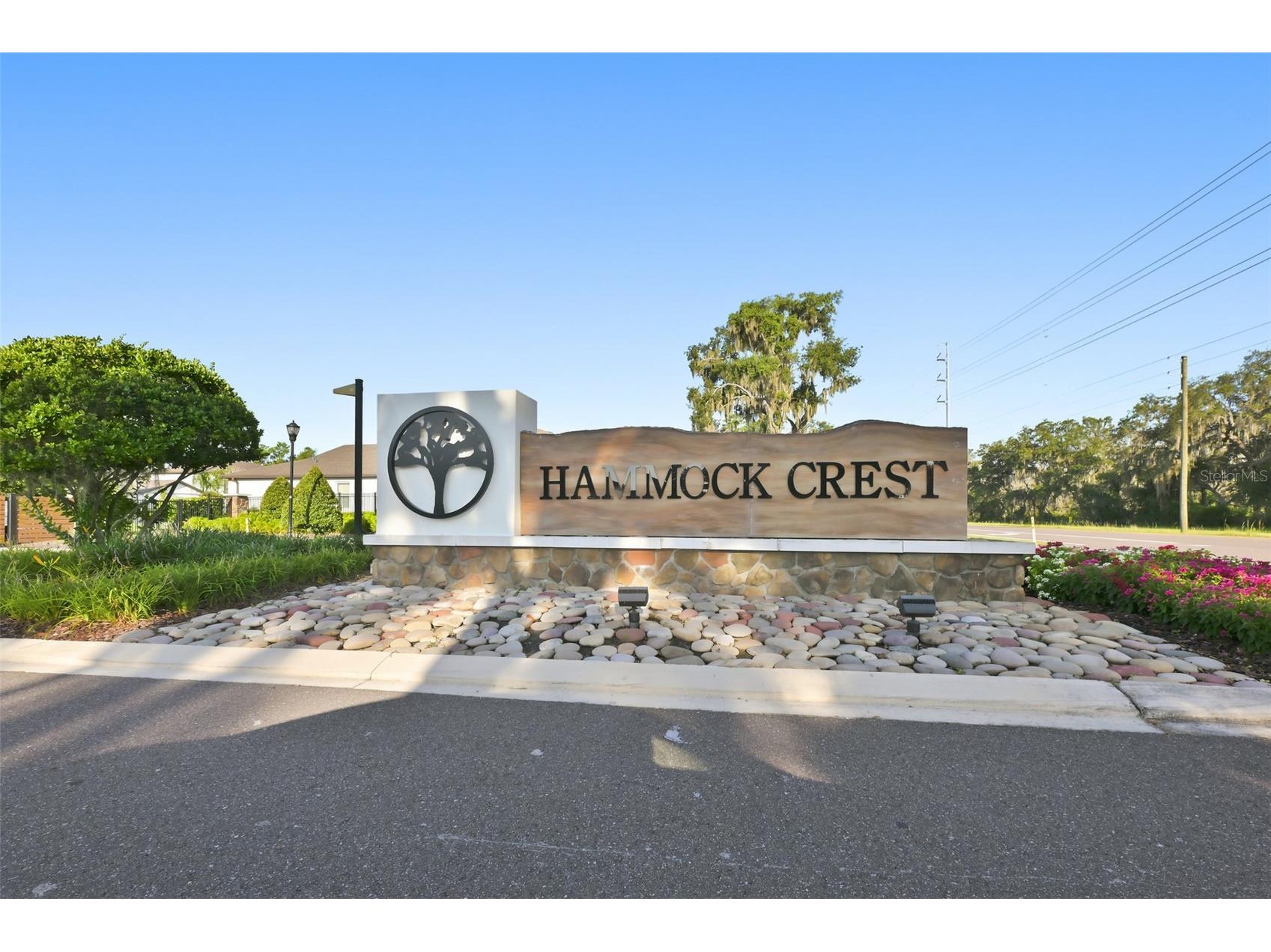11481 Owasee Trails Place Riverview FL 33569 TB8528724 image46