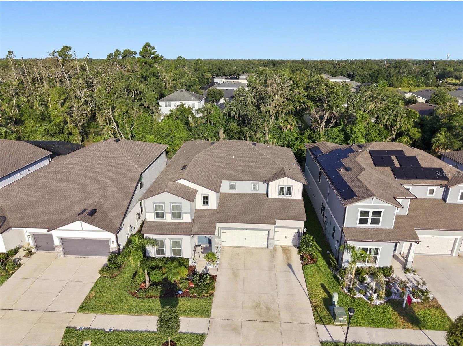 11481 Owasee Trails Place Riverview FL 33569 TB8528724 image48