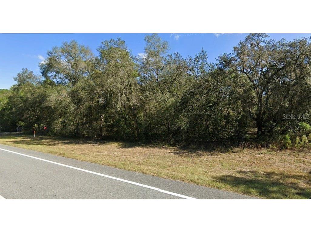 11483 S Florida Avenue Floral City FL 34436 O6238269 image1