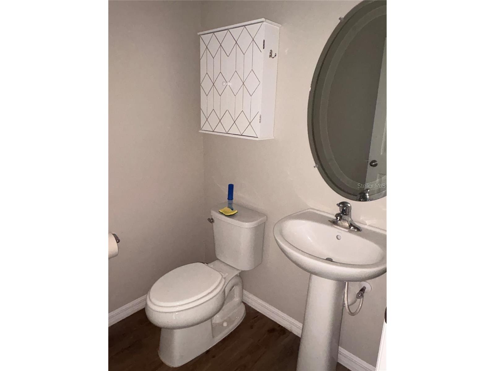 11484 Brook Edge Avenue Riverview FL 33569 A4696122 image10