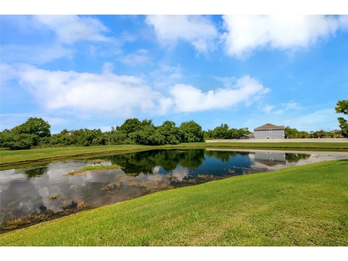 11484 Captiva Kay Drive Riverview FL 33569 T3537060 image31
