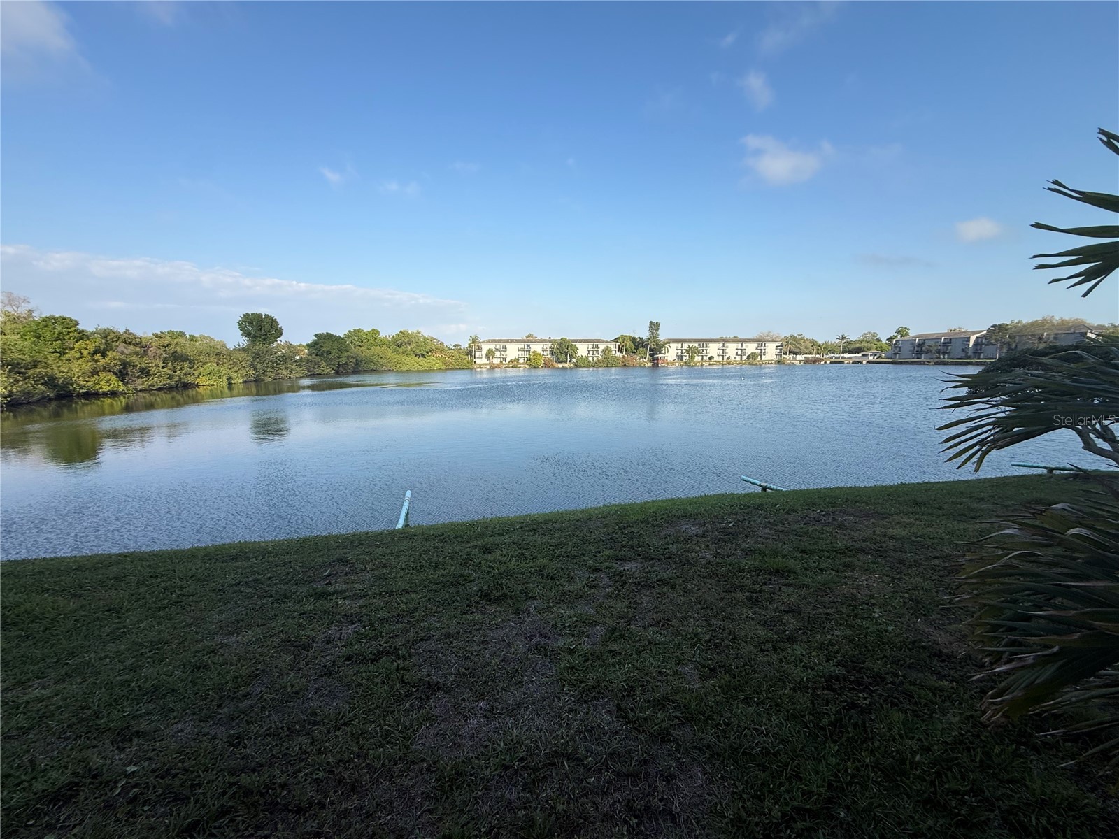 11485 Oakhurst Road #1100-1 Largo FL 33774 TB8493178 image20