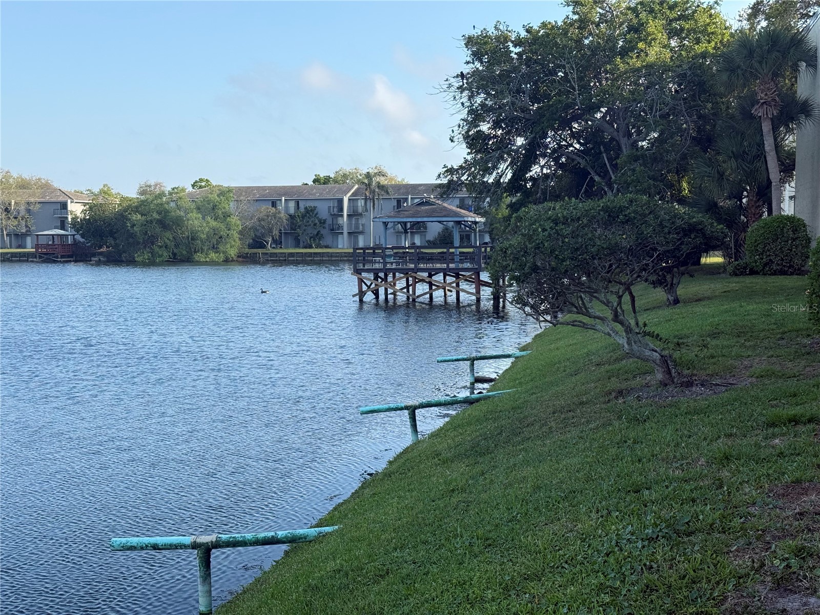 11485 Oakhurst Road #1100-1 Largo FL 33774 TB8493178 image22