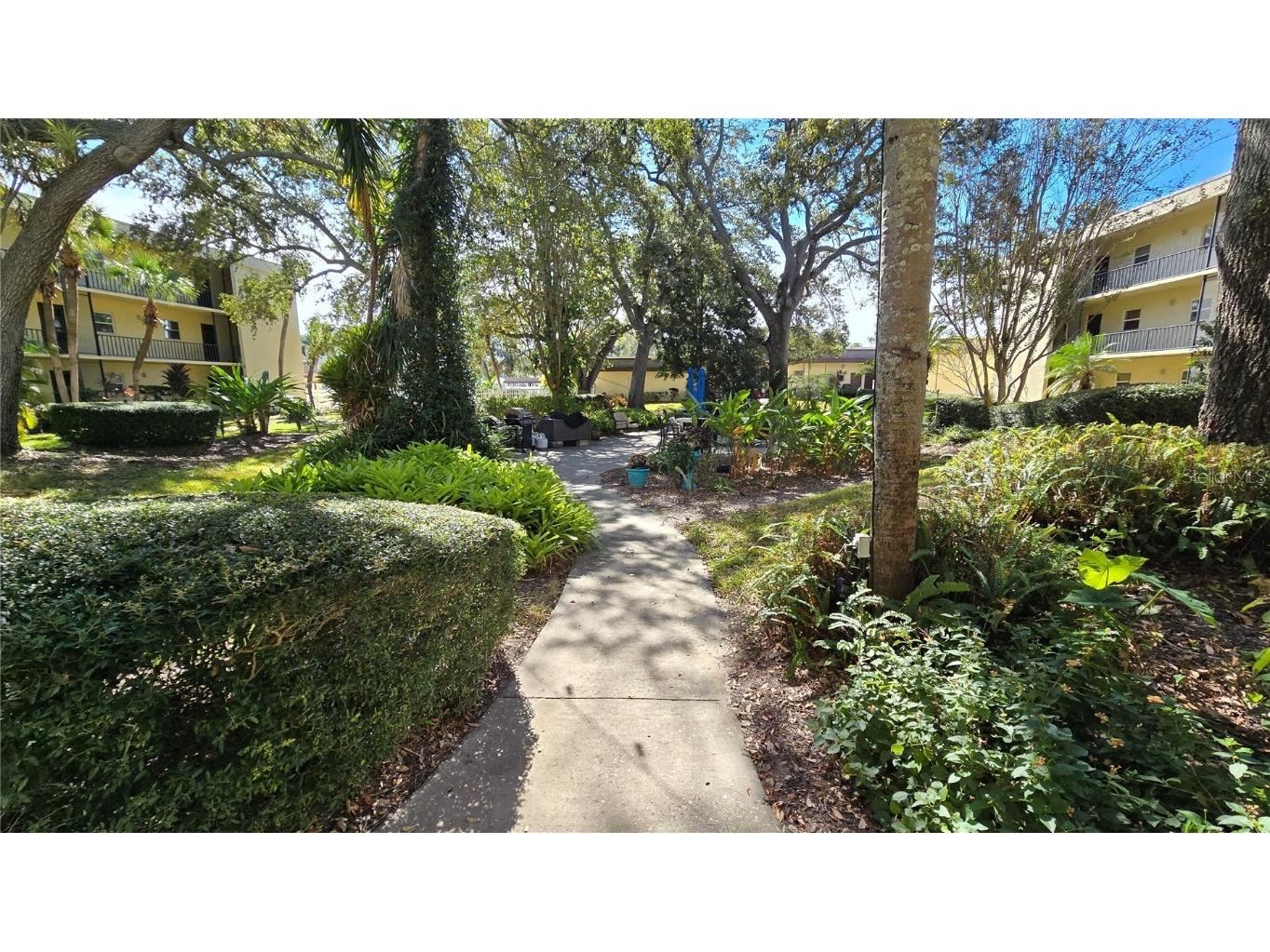 11485 Oakhurst Road #1200-111 Largo FL 33774 TB8447008 image22